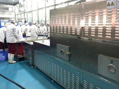 化工原料烘干设备厂家报价 鸿科微波设备 化工原料烘干设备