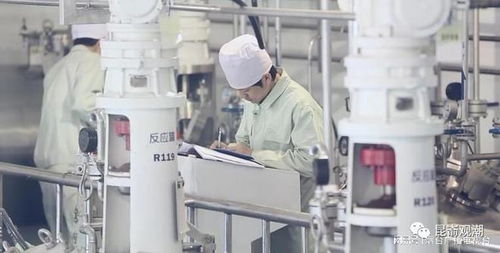 烟台一季度经济运行实现 开门稳 开门红